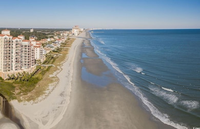 1347 Crested Iris Way unit (Phase 4 Lot 352), Atlantic Beach, SC 29582 - photo 5