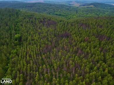 0 Cr 77, Ashland, AL 36251 - photo 4