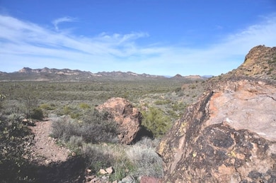 $400 Per Month Miningclaim Ownership, Queen Valley, AZ 85118 - photo 2