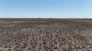 dji_fly_20250408_145506_0334_17441415791