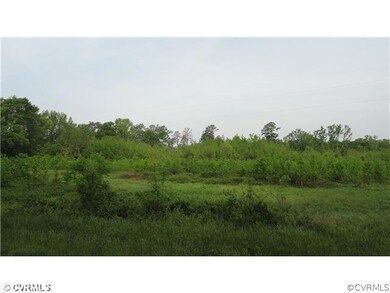 19120 Halligan Park Rd, Carson, VA 23830 - photo 4