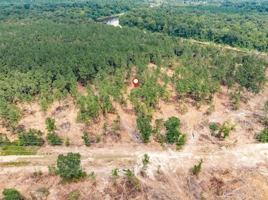 Leaf_River_Parcel_14-3