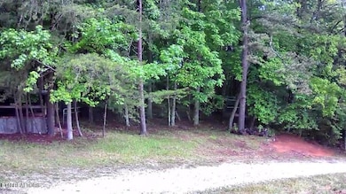 188 Dalton Branch Rd, Tellico Plains, TN 37385 - photo 5