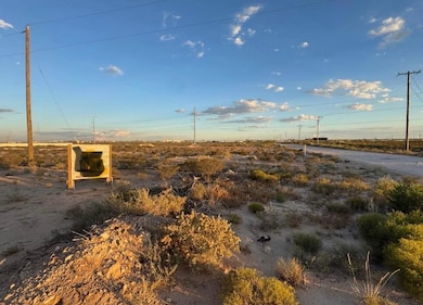 700 N Patrick, Odessa, TX 79763 - photo 2