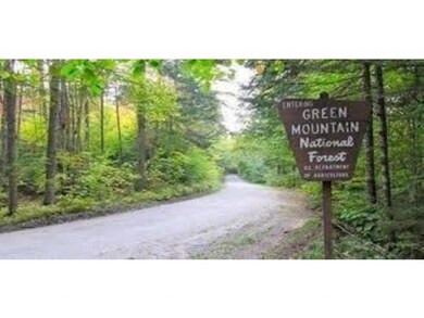 192 Binney Brook Rd, Wilmington, VT 05363 - photo 3