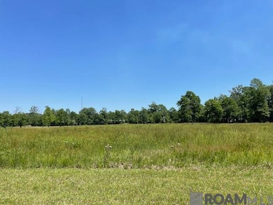30054 N Range Rd, Livingston, LA 70754 - photo 5