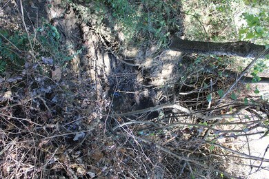 TBD Deerfield Ln, New Boston, TX 75570 - photo 4