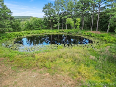 182595 U S 271, Finley, OK 74543 - photo 4