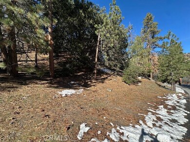 0 Flume unit HD25262637, Wrightwood, CA 92397 - photo 6