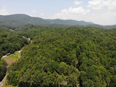 DJI_0950