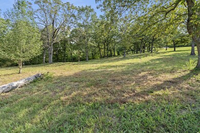 43 Irish Hills Blvd, Kimberling City, MO 65686 - photo 7