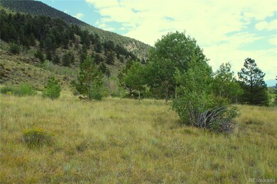 0 W Highway 24 Hwy unit REC9875623, Lake George, CO 80827 - photo 7