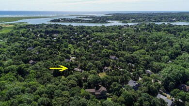 Town Cove Ocean Aerial
