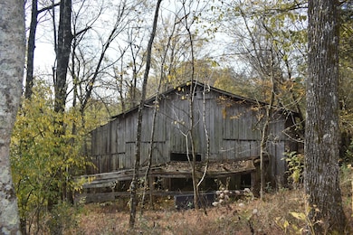 0 Gladdice Hwy unit RTC3042612, Gainesboro, TN 38562 - photo 2