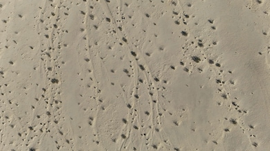 80550 Norman Rd, Twentynine Palms, CA 92277 - photo 7