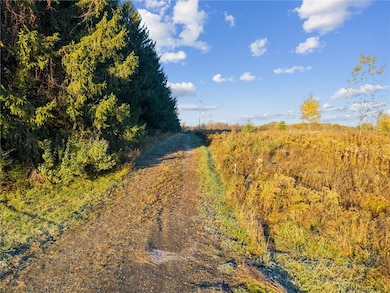 0 Cook Rd, Hector, NY 14886 - photo 2