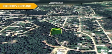 0 Mule Deer Trail unit 25735043, Onalaska, TX 77360 - photo 3