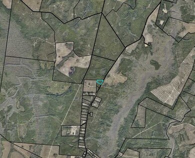 3.76 acres Mt Pleasant Rd, Jesup, GA 31546 - photo 2