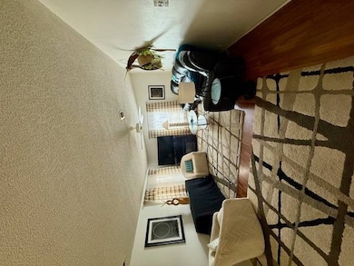 613 Tulip Cir W, Auburndale, FL 33823 - photo 2