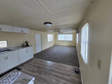 6918 Waterfront Way unit B02, Riverview, FL 33578 - photo 3