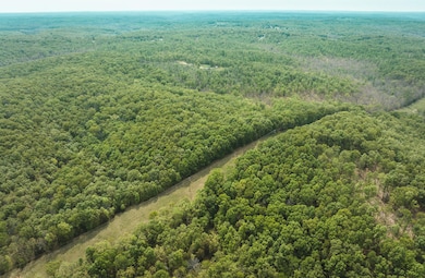 DJI_0955