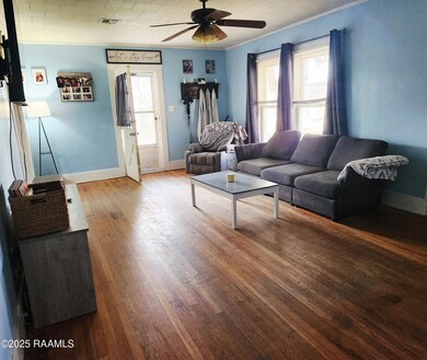 230 Druilhet St, Jeanerette, LA 70544 - photo 5