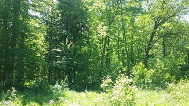 0 Harding Rd unit 1707650, Merrill, WI 54452 - photo 3