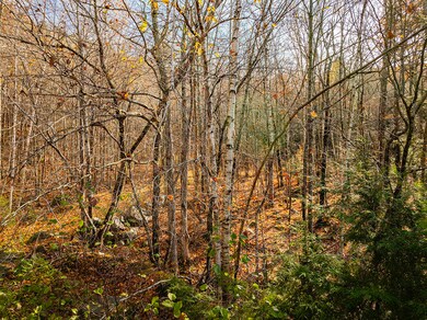 Lot 22&23 Tamarack Trail, Camden, ME 04843 - photo 7