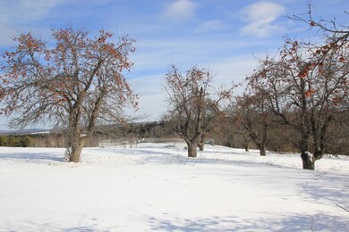 Apple Orchard and In-Ground Pool