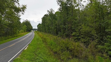 0 Giles Rd unit LotWP002 24182710, Linden, NC 28356 - photo 4