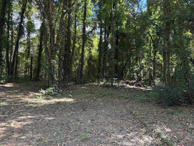 0 Bethuel Rd unit 16, Unincorporated, TN 38053 - photo 7