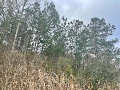Wooded Lot