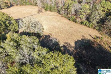 330 County Road 1055, Montevallo, AL 35115 - photo 6