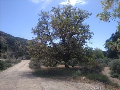 0 Sierra Hwy unit OC25269143, Agua Dulce, CA - photo 5