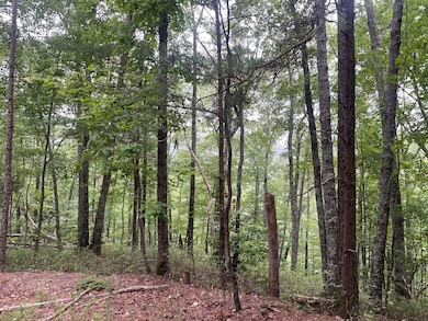 741 Forge Ct, Ranger, GA 30734 - photo 2