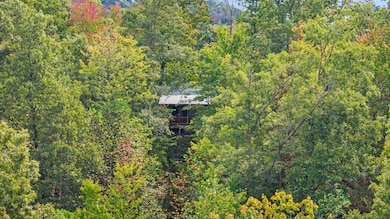 4445-2 Pine Grove Rd, Means, KY 40346 - photo 2