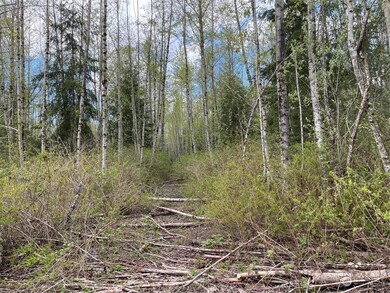 16201 30th Ave NW, Lake Goodwin, WA 98292 - photo 3