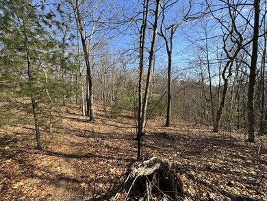 576v Ridge Rd, Wilbraham, MA 01095 - photo 7