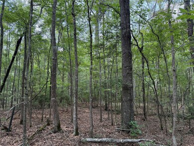 0 Best Rd, Simsboro, LA 71275 - photo 4