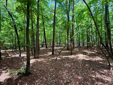 7 Edwards Ridge Rd, Chapel Hill, NC 27517 - photo 5