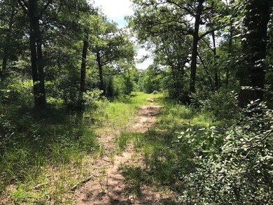 29700 Joseph Rd, Hockley, TX 77447 - photo 2