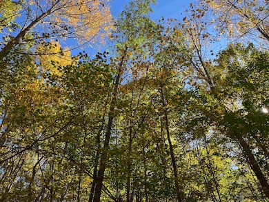 0 Leonard Rd, Pomfret, VT 05068 - photo 2