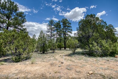 paxmanphotography_PAX_0327