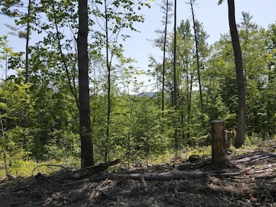 0 Denio Rd unit 5059215, Barnet, VT 05819 - photo 7