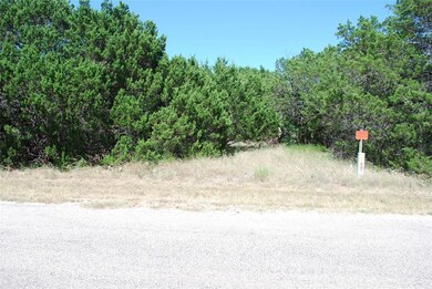 4097 Whitecrest Dr, Whitney, TX 76692 - photo 6