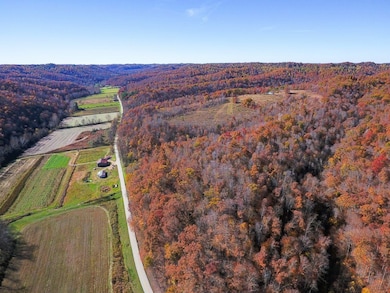 0 Ky 377, Vanceburg, KY 41179 - photo 4