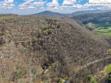 TBD Cobbs Creek Rd, Meat Camp, NC 28607 - photo 6