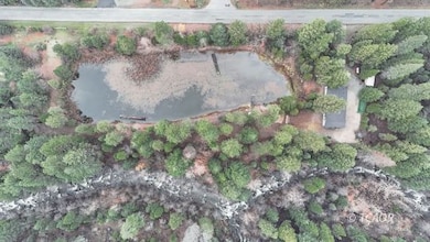 151 Guy Covington Dr, Trinity Center, CA 96091 - photo 3