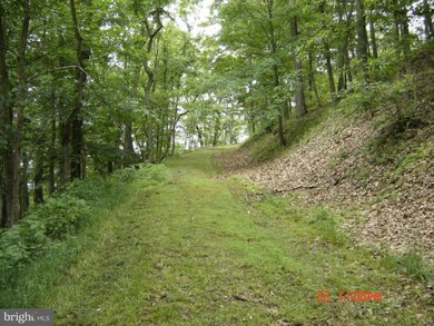 0 Chert Mountain Rd unit 1003897662, Old Fields, WV 26852 - photo 3