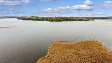 11_DJI_00983_copy_DxO_mls